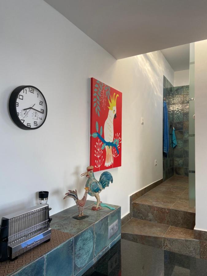 Villa Oasis La Paz - Acaymo Loft - Adults Only - Пуэрто-де-ла-Крус Экстерьер фото