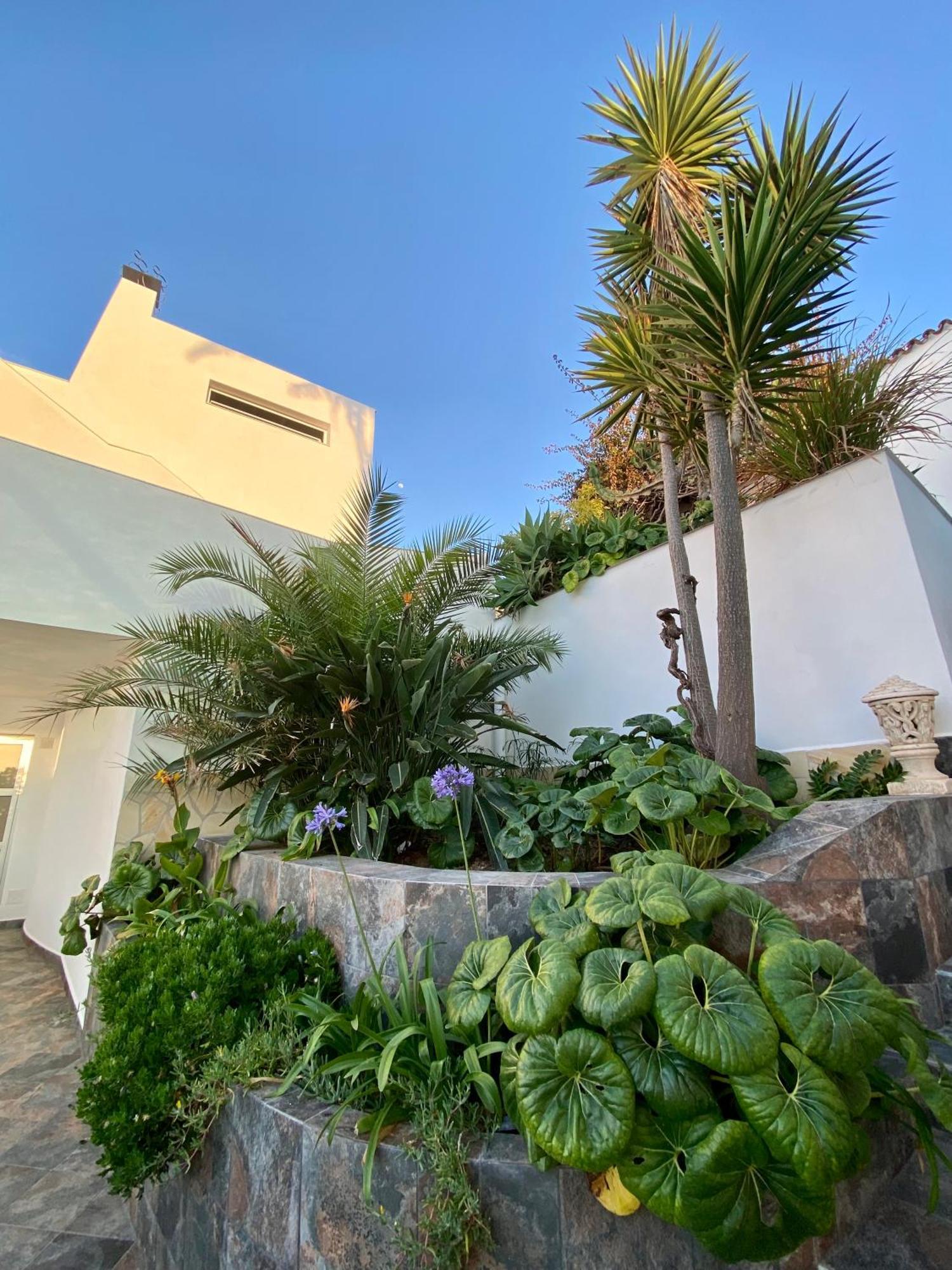 Villa Oasis La Paz - Acaymo Loft - Adults Only - Пуэрто-де-ла-Крус Экстерьер фото